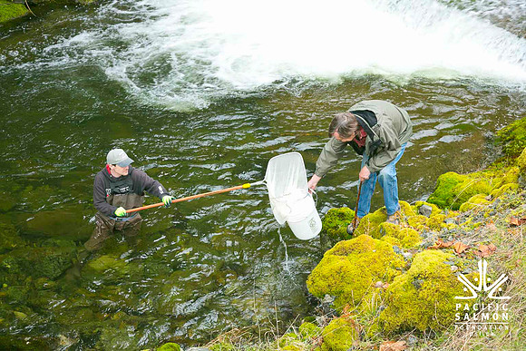 2012 Photoshoot_Goldstream River-41 - LOGO
