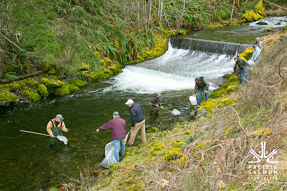 2012 Photoshoot_Goldstream River-42 - LOGO