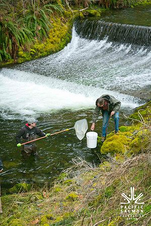 2012 Photoshoot_Goldstream River-43 - LOGO