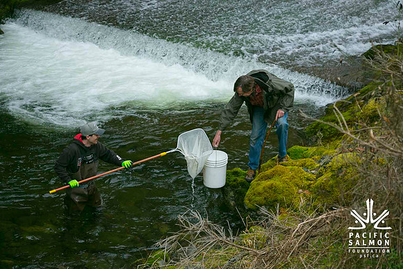 2012 Photoshoot_Goldstream River-44 - LOGO