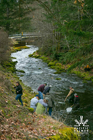 2012 Photoshoot_Goldstream River-46 - LOGO