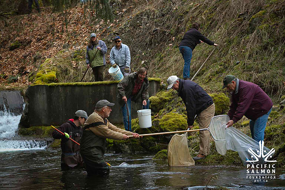 2012 Photoshoot_Goldstream River-47 - LOGO