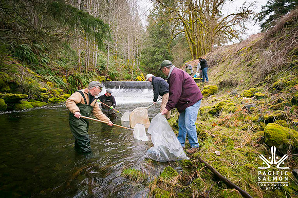 2012 Photoshoot_Goldstream River-50 - LOGO