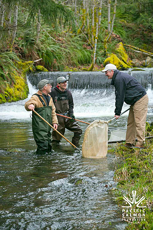 2012 Photoshoot_Goldstream River-53 - LOGO