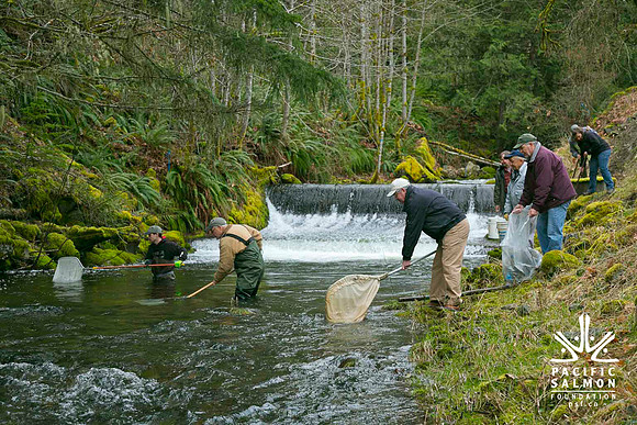 2012 Photoshoot_Goldstream River-54 - LOGO