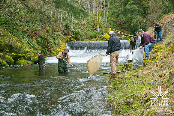 2012 Photoshoot_Goldstream River-55 - LOGO
