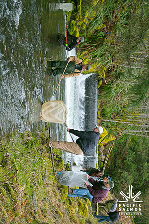 2012 Photoshoot_Goldstream River-56 - LOGO
