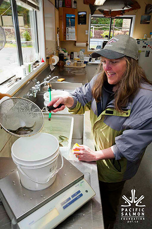 2012 Photoshoot_Goldstream River-59 - LOGO
