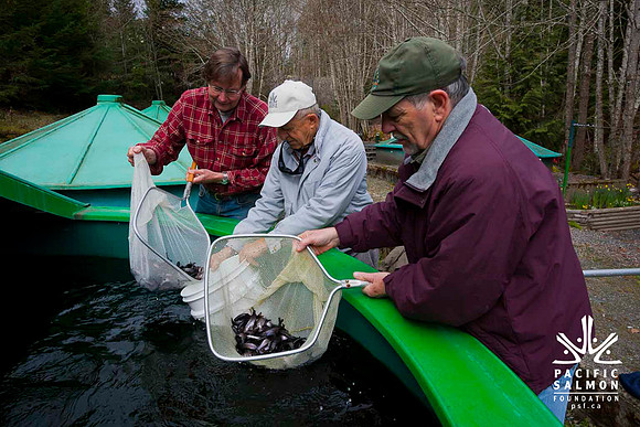 2012 Photoshoot_Goldstream River-63 - LOGO