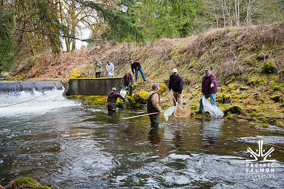 2012 Photoshoot_Goldstream River-64 - LOGO