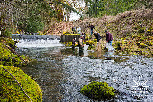 2012 Photoshoot_Goldstream River-65 - LOGO