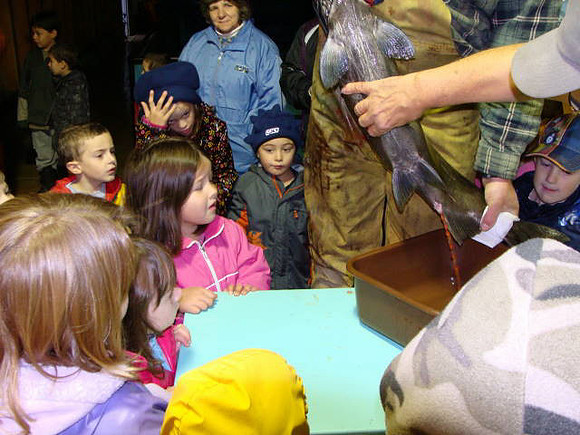 2012 Powell River Salmon Society-4