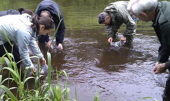 2012 Rocky Mountaineer Brunette River Fish Release with Elmer Rudolph-18