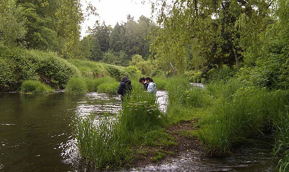 2012 Rocky Mountaineer Brunette River Fish Release with Elmer Rudolph-51