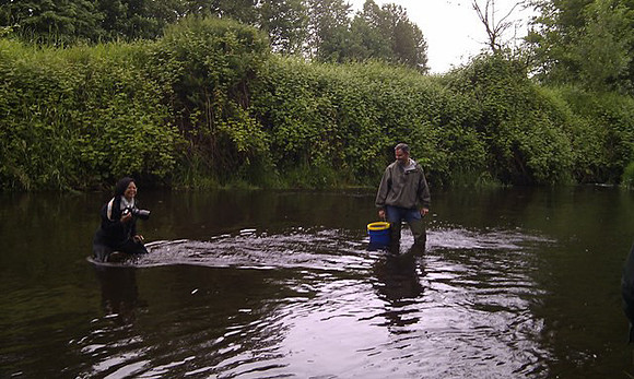 2012 Rocky Mountaineer Brunette River Fish Release with Elmer Rudolph-52