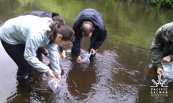 2012 Rocky Mountaineer Brunette River Fish Release with Elmer Rudolph-17 - LOGO