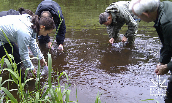 2012 Rocky Mountaineer Brunette River Fish Release with Elmer Rudolph-18 - LOGO