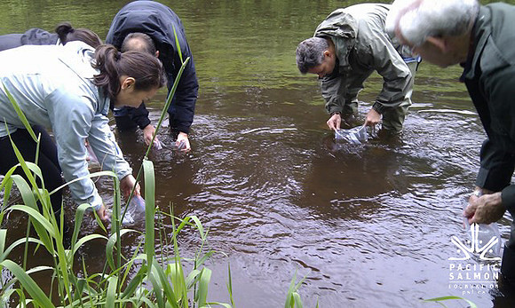 2012 Rocky Mountaineer Brunette River Fish Release with Elmer Rudolph-58 - LOGO