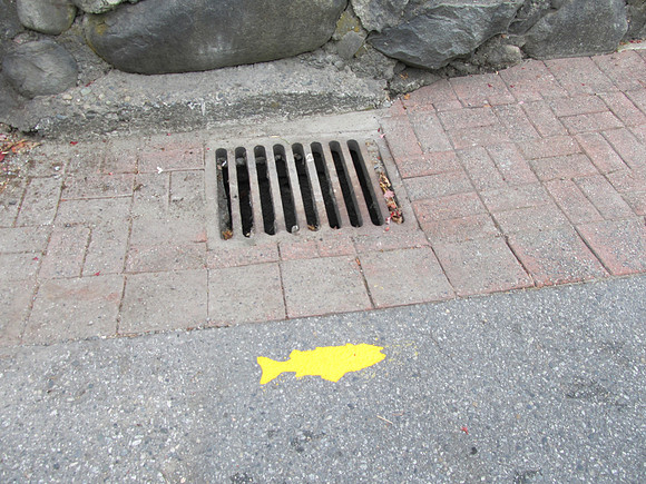 2012 Storm Drain Marking_WVS-14