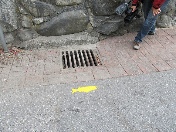 2012 Storm Drain Marking_WVS-15