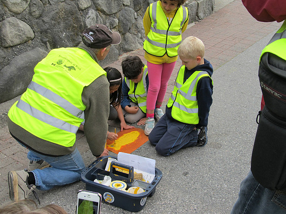 2012 Storm Drain Marking_WVS-16