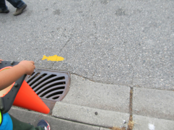 2012 Storm Drain Marking_WVS-29