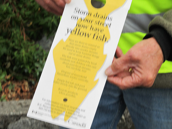 2012 Storm Drain Marking_WVS-38