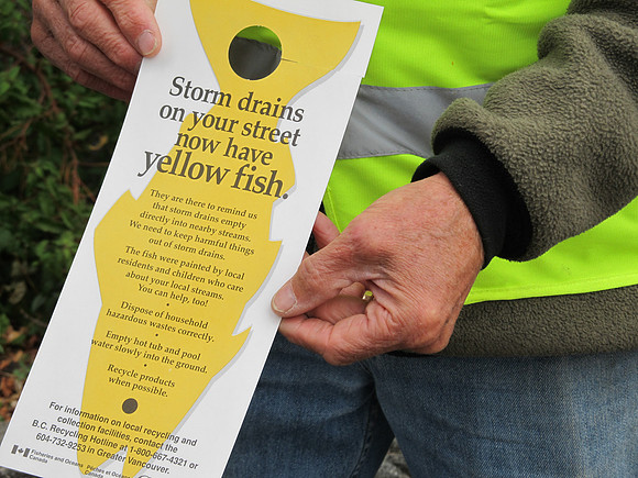 2012 Storm Drain Marking_WVS-39
