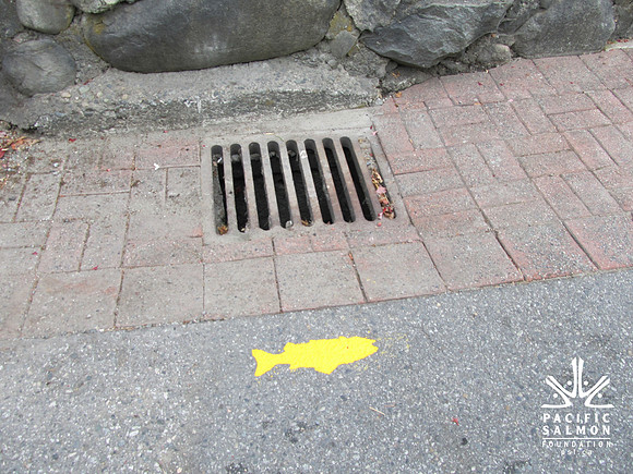 2012 Storm Drain Marking_WVS-14 - LOGO