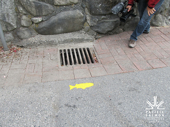 2012 Storm Drain Marking_WVS-15 - LOGO