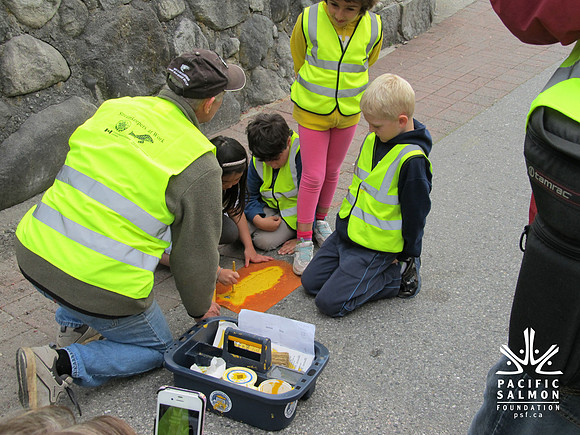 2012 Storm Drain Marking_WVS-16 - LOGO