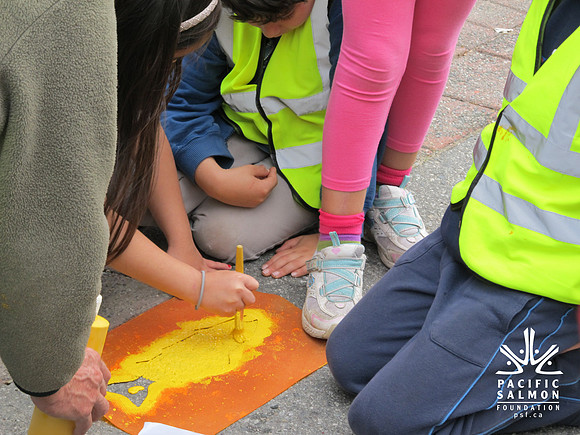 2012 Storm Drain Marking_WVS-17 - LOGO