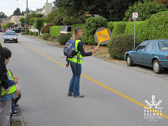 2012 Storm Drain Marking_WVS-2 - LOGO