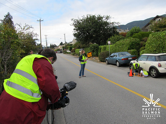 2012 Storm Drain Marking_WVS-4 - LOGO