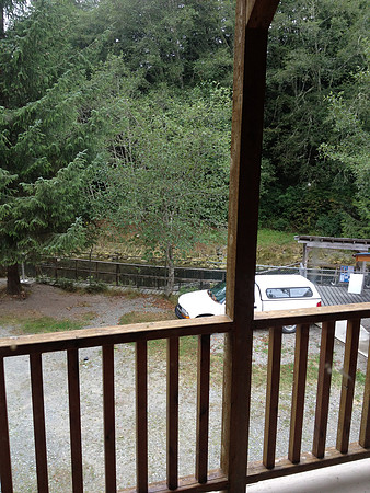 2012 Thorton Creek Hatchery Visit-3