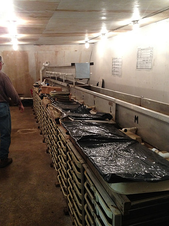 2012 Thorton Creek Hatchery Visit-5