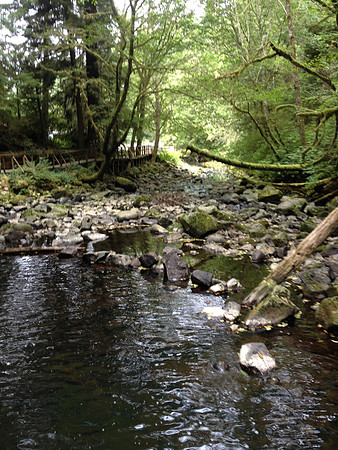 2012 Thorton Creek Hatchery Visit-9