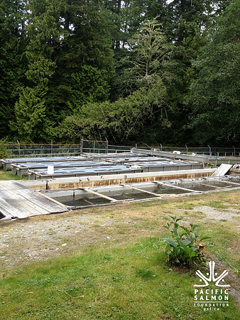 2012 Thorton Creek Hatchery Visit-4 - LOGO