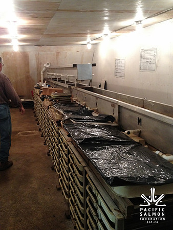 2012 Thorton Creek Hatchery Visit-5 - LOGO