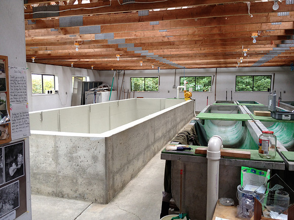 2012 Tofino Hatchery-13