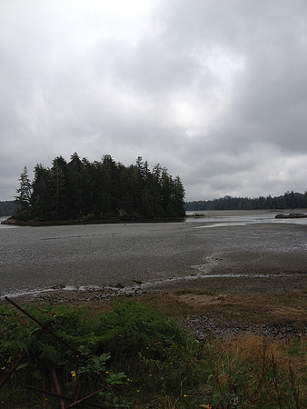 2012 Tofino Hatchery-3