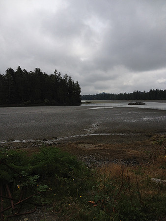 2012 Tofino Hatchery-4