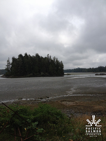 2012 Tofino Hatchery-3 - LOGO