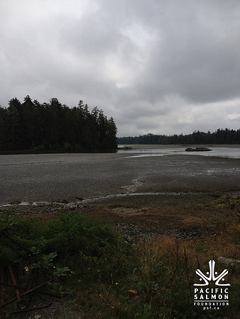 2012 Tofino Hatchery-4 - LOGO