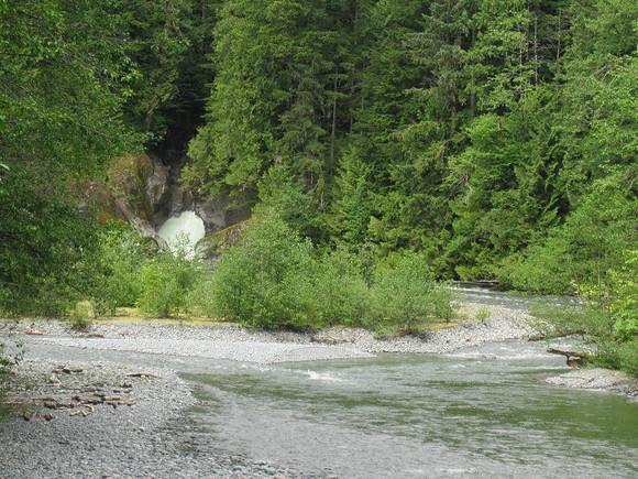 2012 Upper Pitt River Spawning Habitat Restoration-2