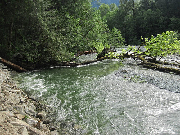 2012 Upper Pitt River Spawning Habitat Restoration-4