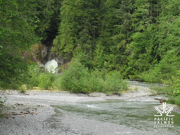2012 Upper Pitt River Spawning Habitat Restoration-2 - LOGO