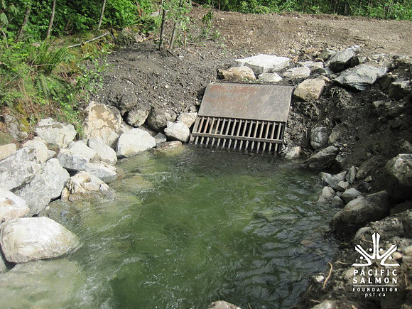 2012 Upper Pitt River Spawning Habitat Restoration-3 - LOGO
