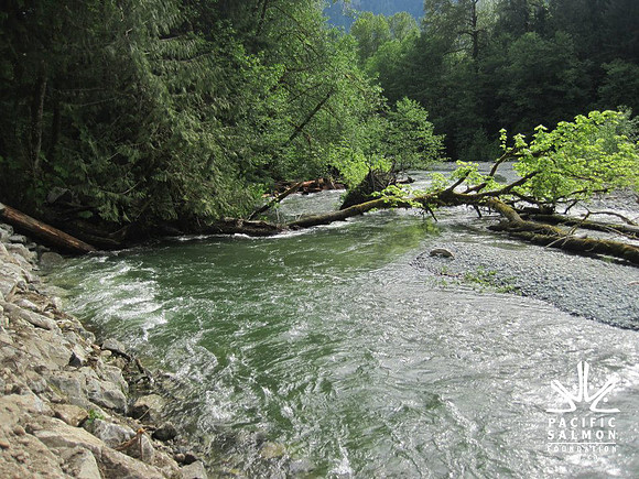 2012 Upper Pitt River Spawning Habitat Restoration-4 - LOGO