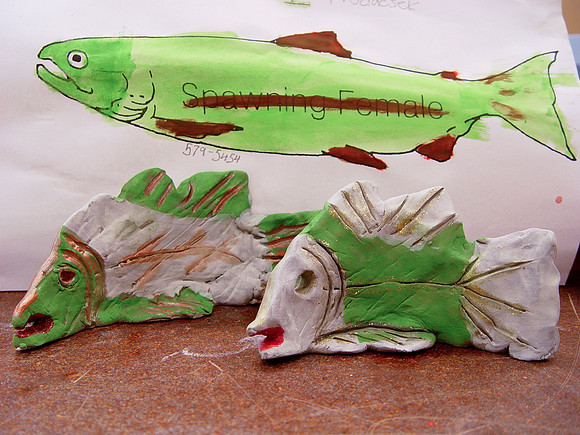 2014 Adams River Community Art Project-5